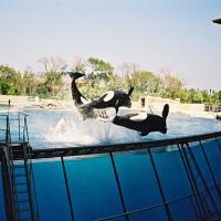 Marineland, paradis des enfants