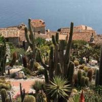 Le village perché et son extraordinaire jardin exotique